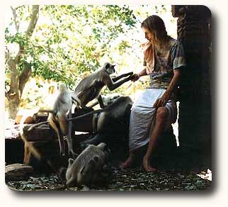 Sei ein Vegetarier ,es ist aktive Gewaltlosigkeit