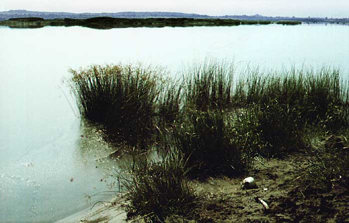 Wenn das Wasser in den Flüssen sinkt, findet man die Überreste der Wasserbestattungen